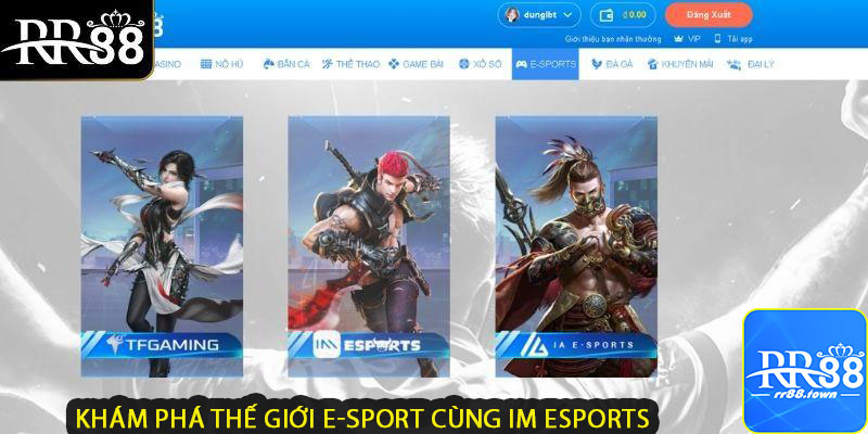 Khám Phá Thế Giới E-Sport Cùng IM Esports